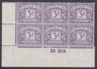 D14 3d Block Cypher Postage due Control B 24 Imperf Mounted in margin MINT
