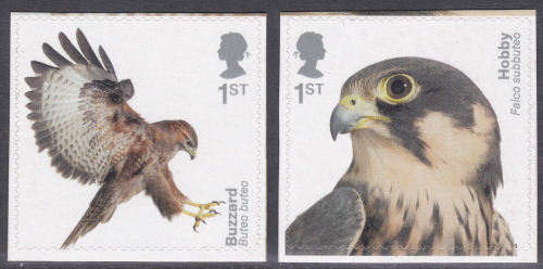 2019 PM66 Birds of prey stamps from booklet pair Self adhesive UNMOUNTED MINT